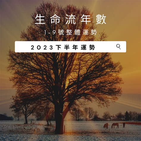 2023生命靈數流年|時機到！生命靈數看2023年運勢提醒